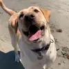 Sandy Pack - @sandradp1960 - TikTok