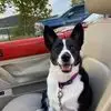 Sandy Pack - @sandy.pack14 - TikTok