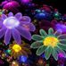 Sandy Packer - Facebook