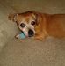 Sandy Packer - Facebook