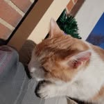 Sandy Paris - @sandyparis2003 - Instagram