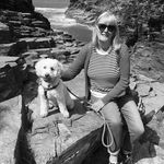 Sandy Pearce - @rosie_dog_on_tour - Instagram