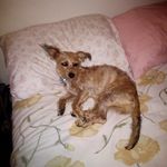 Sandy Pearce - @sandy_pearce1 - Instagram
