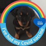 Sandy Pearce - Facebook