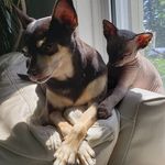 Sandy Pearce - @thekids_and_ewe - Instagram