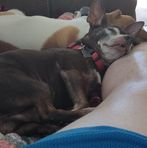 Sandy Pearce - Facebook