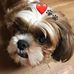 Sandy Pederson - Facebook