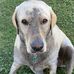 Sandy Pemberton - Facebook