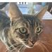 Sandy Pemberton - Facebook