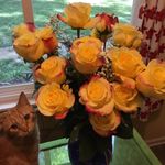 Sandy Pemberton Triplett - @sandy.p.triplett - Instagram