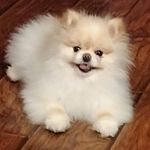 Sandy Key Peoples - @peoples.sandy - Instagram