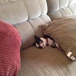 Sandy Perkins - @sandrap1968 - Instagram