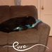 Sandy Perkins - Facebook
