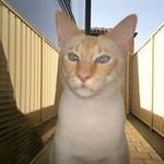 Sandy Perkins - @sandra.perkins62 - Instagram