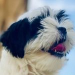 Sandy Perkins - @sandyperk27 - Instagram