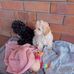 Sandy Perkinson - Facebook