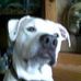 Sandy Person - Facebook