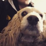 Sandy Sue Philipp - @sandy_sue_dog - Instagram