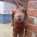 Sandy Pickard - Facebook