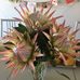 Sandy Pickard - Facebook