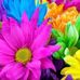 Sandy Pinney - Facebook