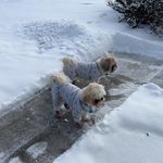 Sandy Pinney - @sandypinney66 - Instagram