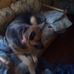 Sandy Pinney - Facebook