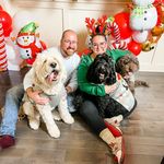 Sandy Piper - @thebouncingdoodle - Instagram