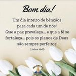 Sandra Pitzer - @sandra.pitzer.50 - Instagram