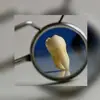 Sandy Polanco - @sandy.polanco23 - TikTok