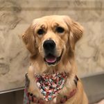 Sandy (fka Polka) - @sandy4polka - Instagram