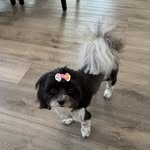 Sandy Polk Miller - @sandybmiller - Instagram