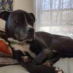 Sandy Pomeroy Drzewiecki - @mom2fourkids - Instagram