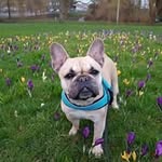 Sandy Post - @sandy_post11 - Instagram