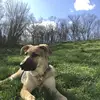 Sandy Post - @post0961 - TikTok