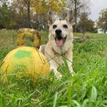Sandy Post - @sandy.post - Instagram