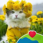 Sandy Aileene Powers - @sap2445 - Instagram
