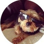 Sandy Powers - @powers_sandy_ - Instagram