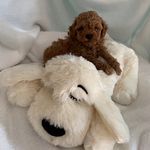 Sandy Powers Blackstock - @powersblackstock - Instagram