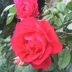 Sandy Rainey - @sandy.rainey.3 - Instagram