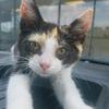 SandyR0408 - @sandyramsey0408 - TikTok