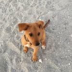 Sandra Raynor - @raynorsandra - Instagram