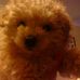Sandy Raynor - Facebook