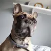sandyraynor - @sandyraynor - TikTok