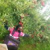 sandyrenold - @sandyrenold - TikTok
