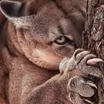 Sandy Rex - @rex50sangria - Instagram