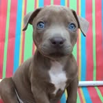 @sandyrex.thepit - Instagram