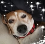 Sandy Rhoads - Facebook
