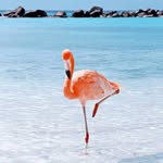 Sandy Rhoads - @sandygilbert.77 - Instagram