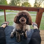 Sandy Rhoads-Schoultz - @sch13706 - Instagram